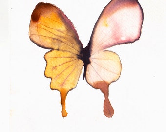 yellow and white butterfly. original watercolour painting