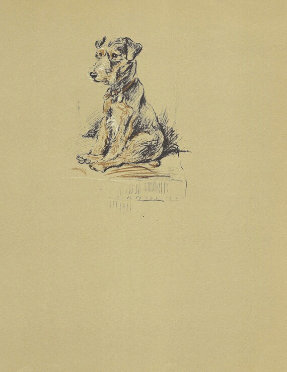 TERRIER 1930's Vintage Dog Print, Lucy Dawson, Airedale, Wall Decor, Art Illustration to Frame, Home Decor, brown black, terrier, B-1