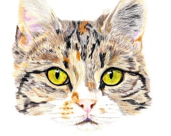 Gift Cards - Tortiseshell Tabby Cat