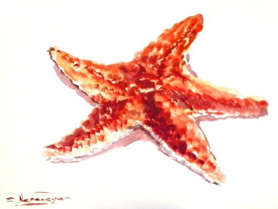 Starfish Original watercolor painting 12 X 9 in red orange