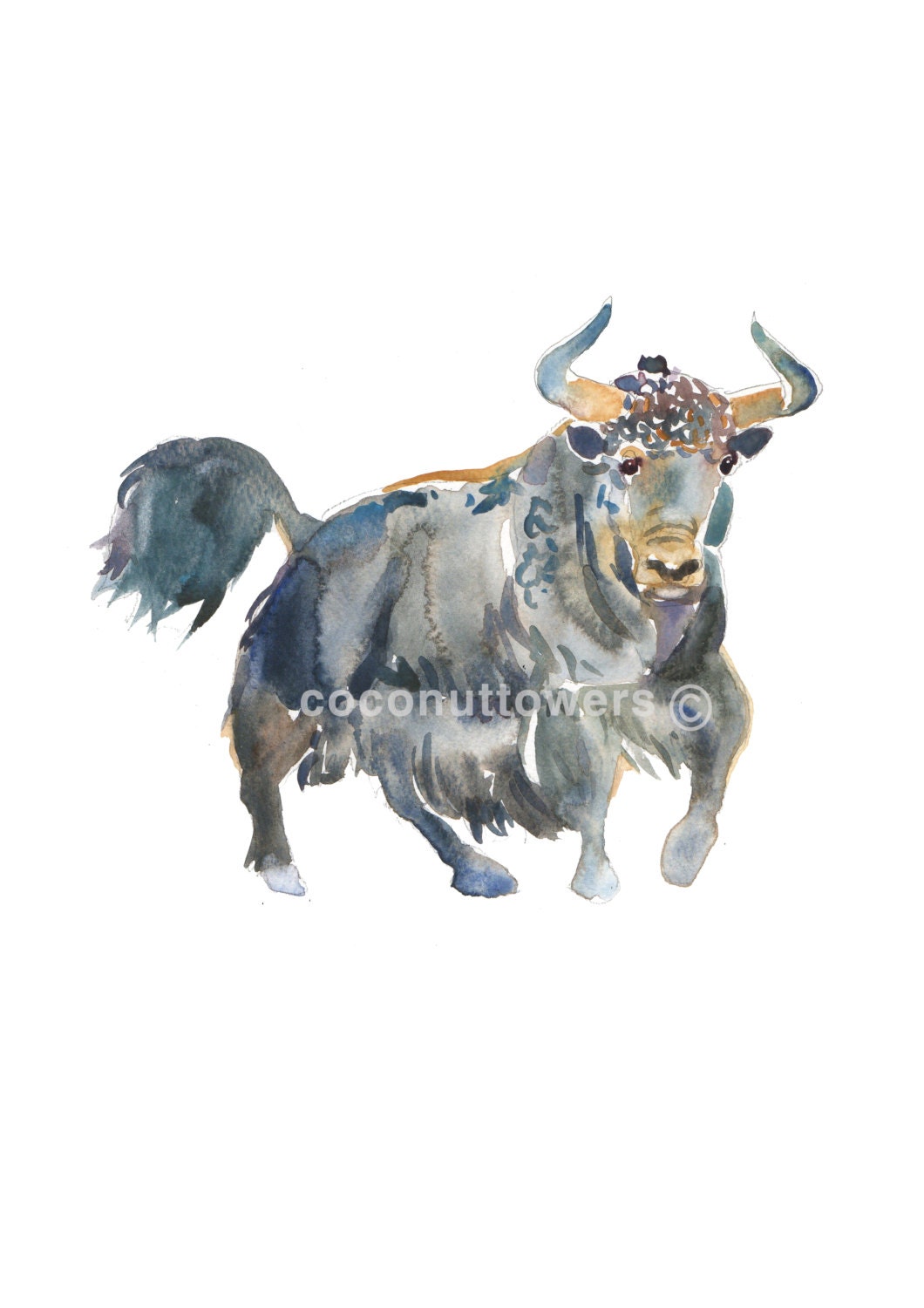 Yak Watercolor painting size 8x10in Animal Painting