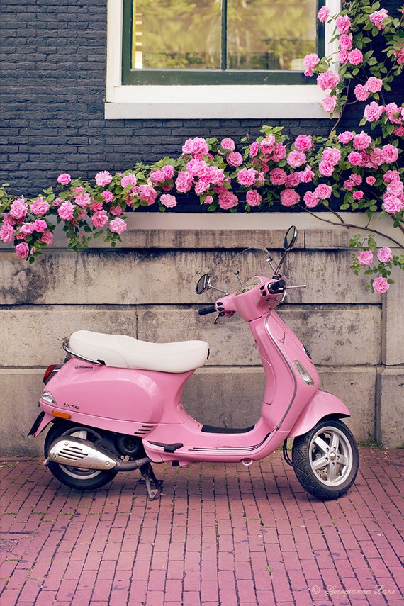 Europe Photography -  Pink Scooter and Roses, Fine Art Travel Photograph, Nursery Art, Large Wall Art