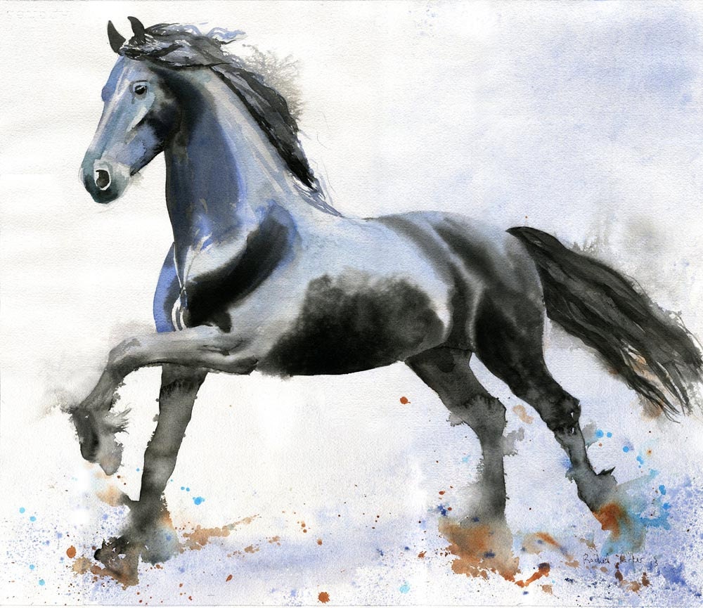friesian horse art print morgan warmblood reproduction of a
