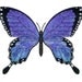 sapphire swallowtail, fantasy butterfly art print 8X10 inches, ultramarine blue coloration digital illustration