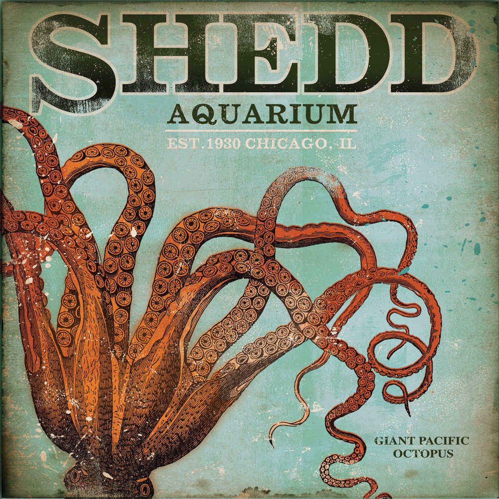 shedd aquarium octopus chicago poster style graphic art on