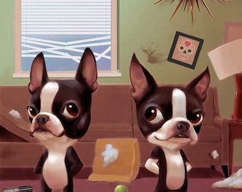 Mid Century Boston Terriers making a mess