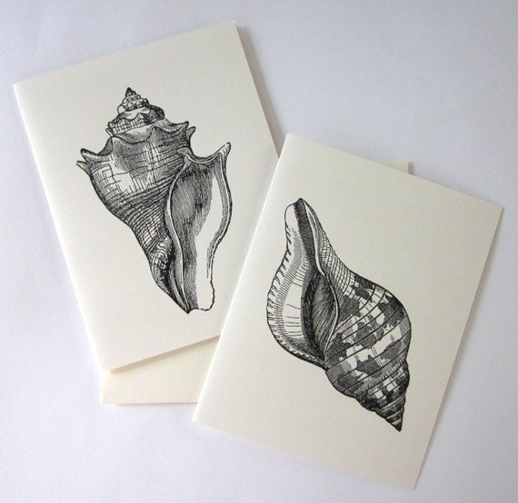 Conch Shell Cards Set of 10 in White or Light Ivory with