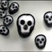 Skull Murrini -SRA-