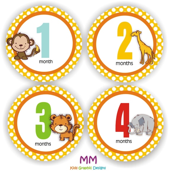 Baby Stickers - Baby Month Stickers - Baby Boy Monthly Stickers - Baby ...