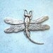 Antiqued silver plated large dragonfly, lot of (1) - AR175