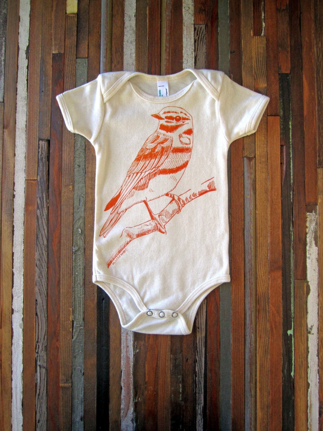 screen print onesie