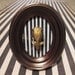 Petite Rodent Skull Taxidermy Specimen - Gold Skull on a standing frame - Black and White Striped