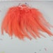 Feathers Salmon Premium Strung Saddle PSD-26 6 inches