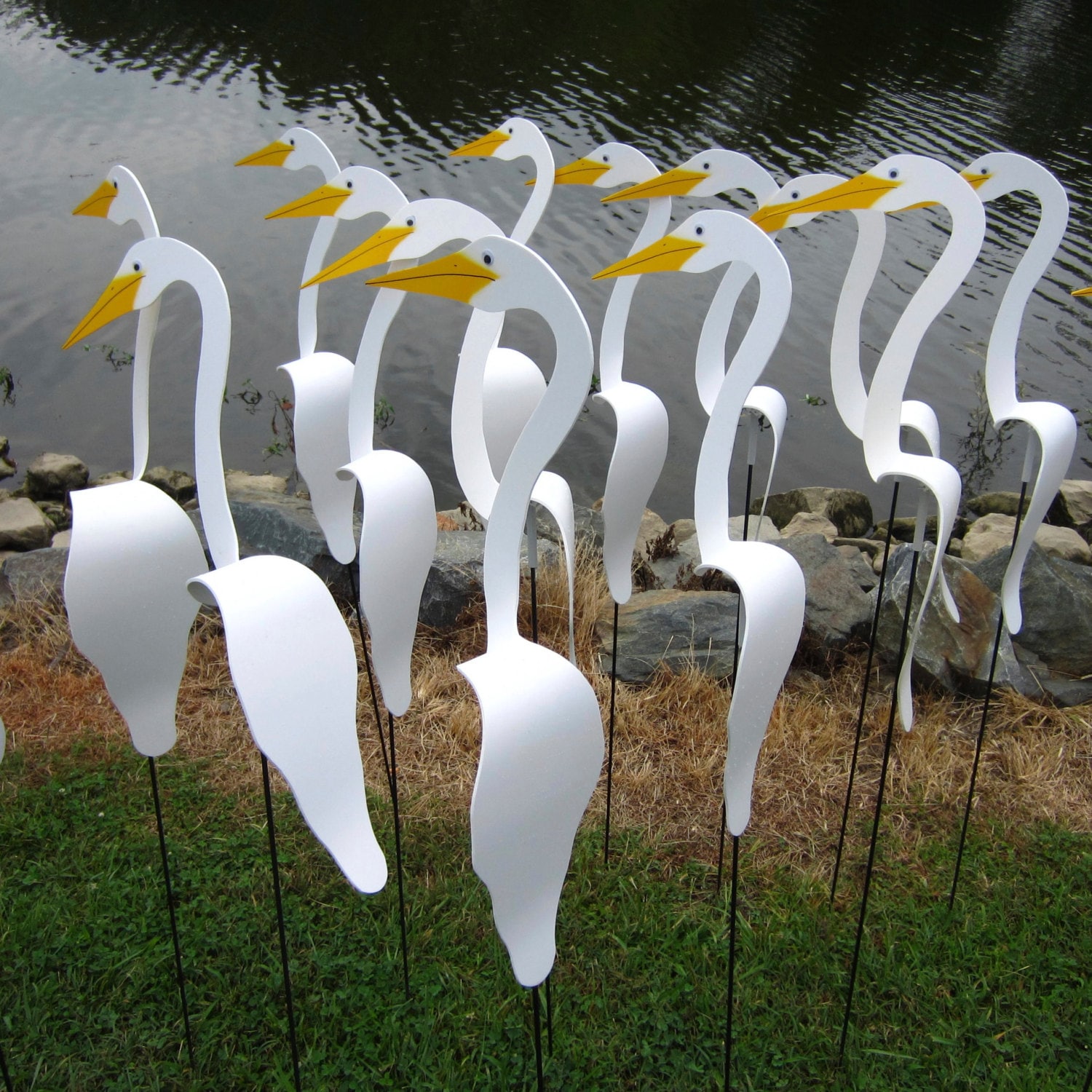 Pvc Yard Birds Patterns