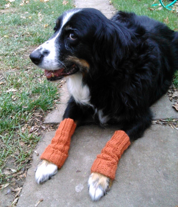 Items similar to Winter Crochet Doggie Leg Warmers any color/size on Etsy