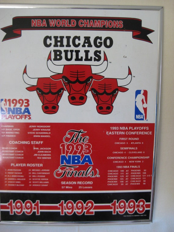 Vintage Chicago Bulls Frame