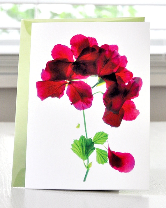 Floral note card--Alice Geranium Invitation Thank You Celebration Thinking of You Cards