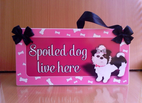 spoiled dog lives here personalized sign - cute Shih-Tzu dog pet spot ...