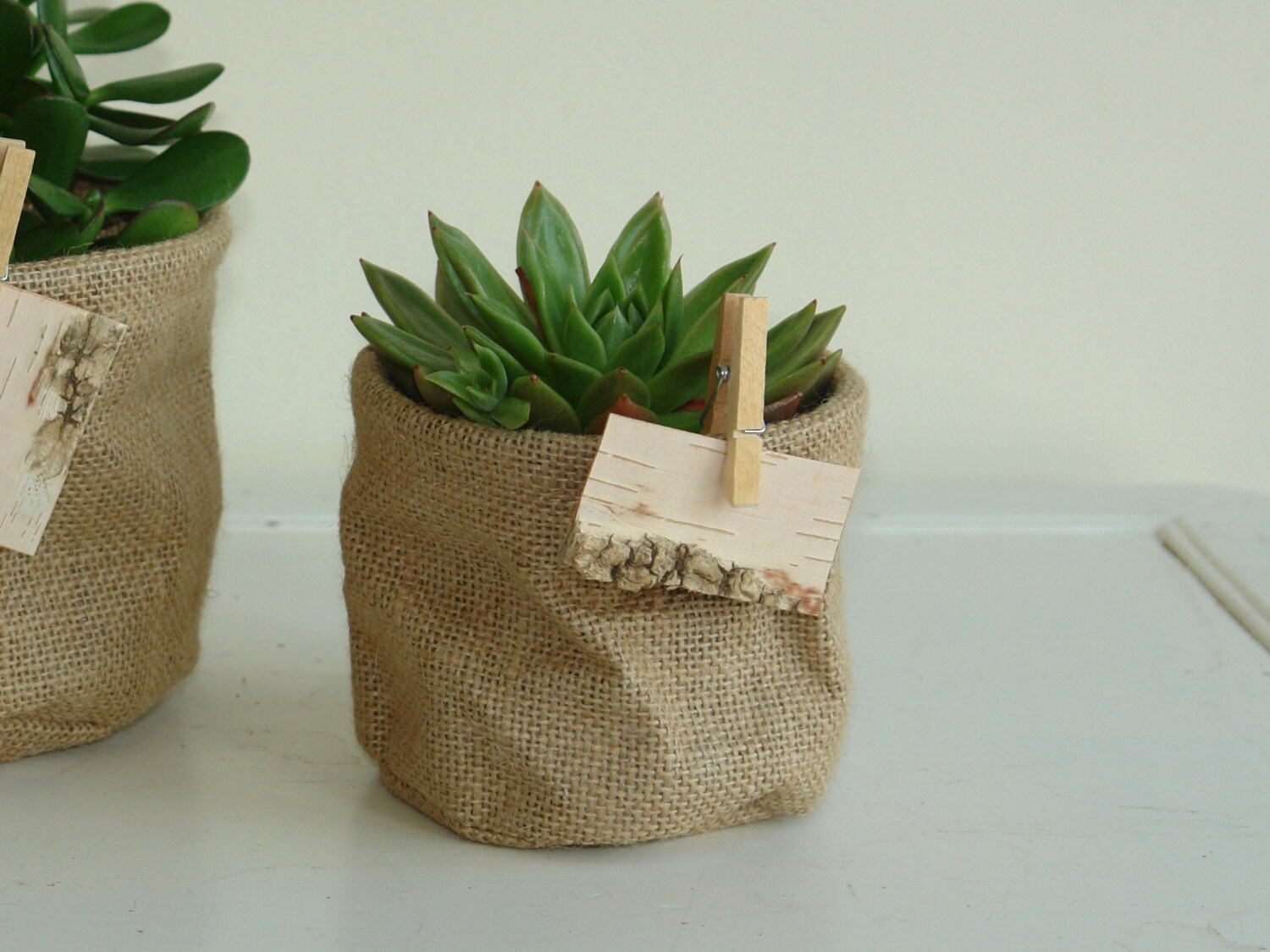 succulent flowers burlap small planter pot cover birch bark succulent flowers burlap small planter pot cover birch bark