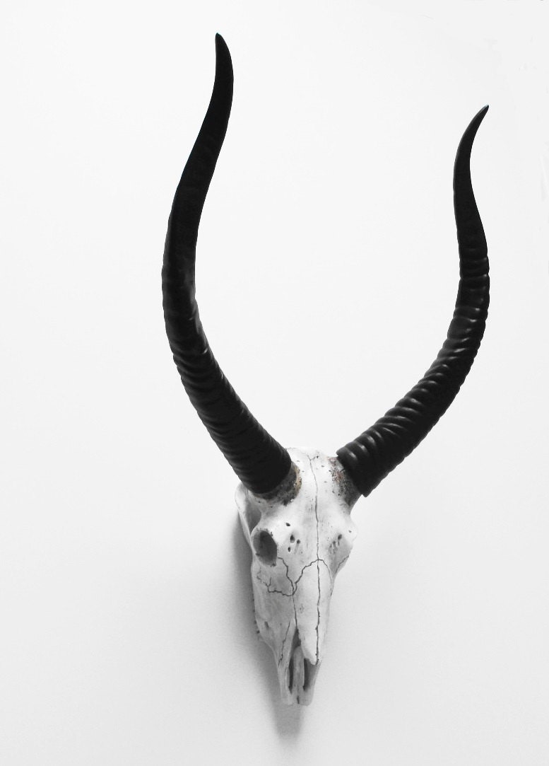 Animal Skull Skull African Decor Skulls Painted Skull