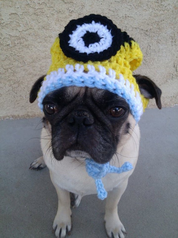 Items similar to MinionDog HatMinion Hat for DogsCute dog HatsPugs