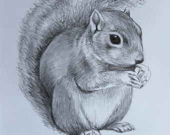 Popular items for squirrel drawing on Etsy