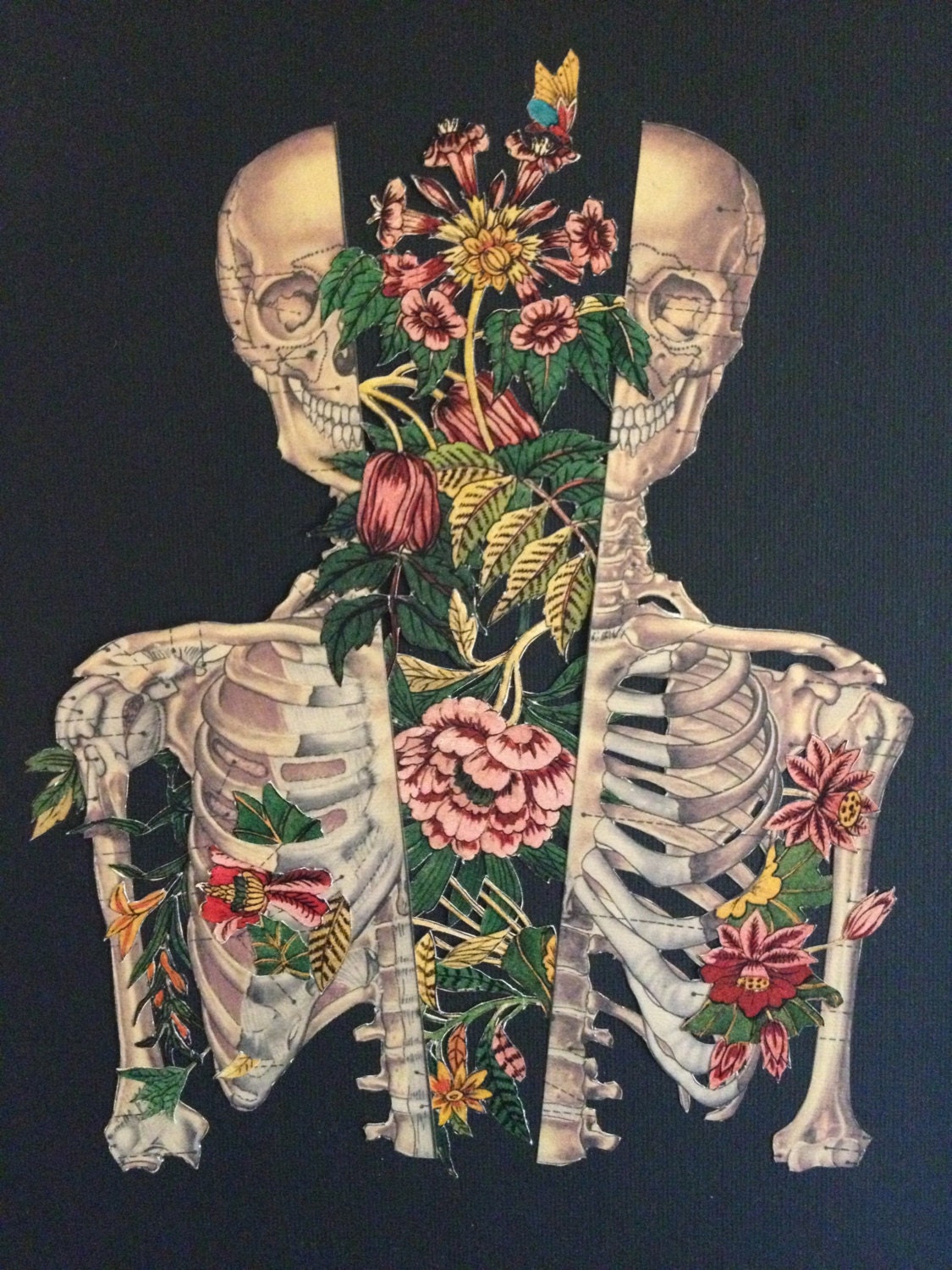 growth within anatomical anatomy collage art by by Bedelgeuse