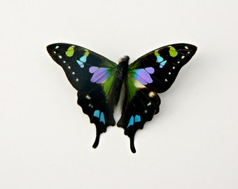 Photography Prop, Butterfly, Black, Purple, Green, & Blue