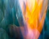 Abstract Bird of Paradise, Abstract Flowers, Orange Green Pink Blue Aqua, Fire, Fine Art Photograph Wall Print, Home Decor Gift For Her