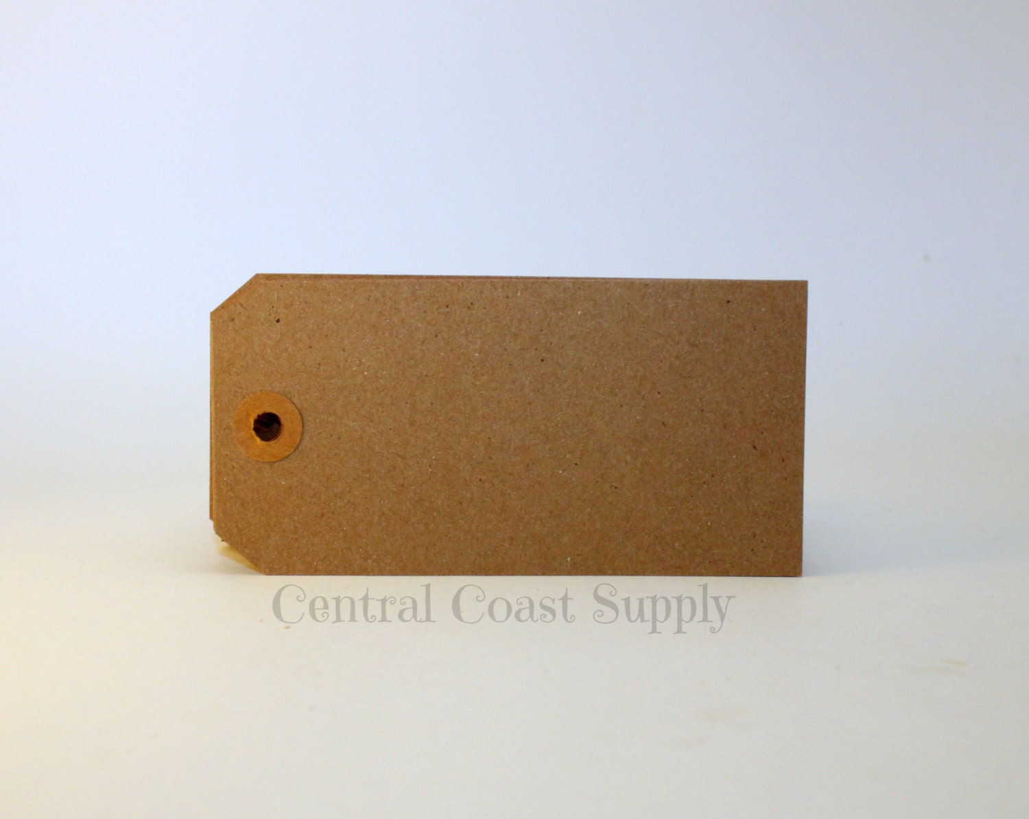 Kraft Cardstock Tag Eco Friendly Tag Recycled Tag Recycled