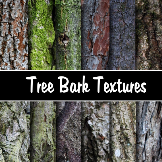 Tree Bark Digital Paper Pack Instant Download TREE