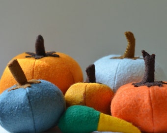 Felt Food Pumpkin Collection Children's Play Food