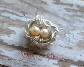 Wire Bird Nest with Two Eggs