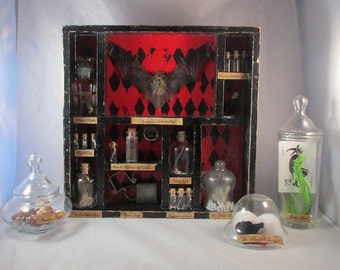 CUSTOM Taxidermy Curiosities and Oddities Shadow Box Curiosity Cabinet Victorian Apothecary Goth Bat Batman Bone