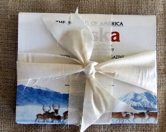 Vintage Map Bundle, The Making of America