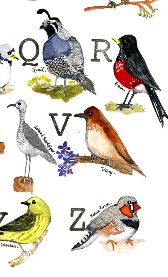 Bird Alphabet Sampler Nursery and Home Decor for Bird Lovers