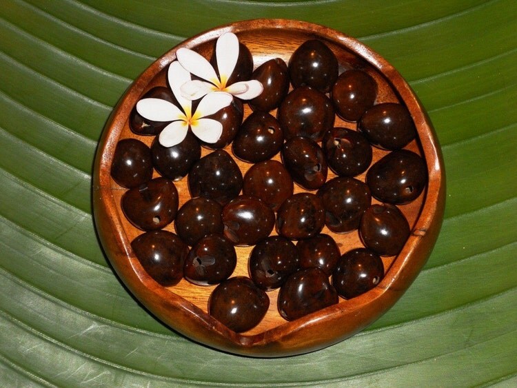 Loose Kukui Nuts Natural Collection Colors by TheHawaiianMarket