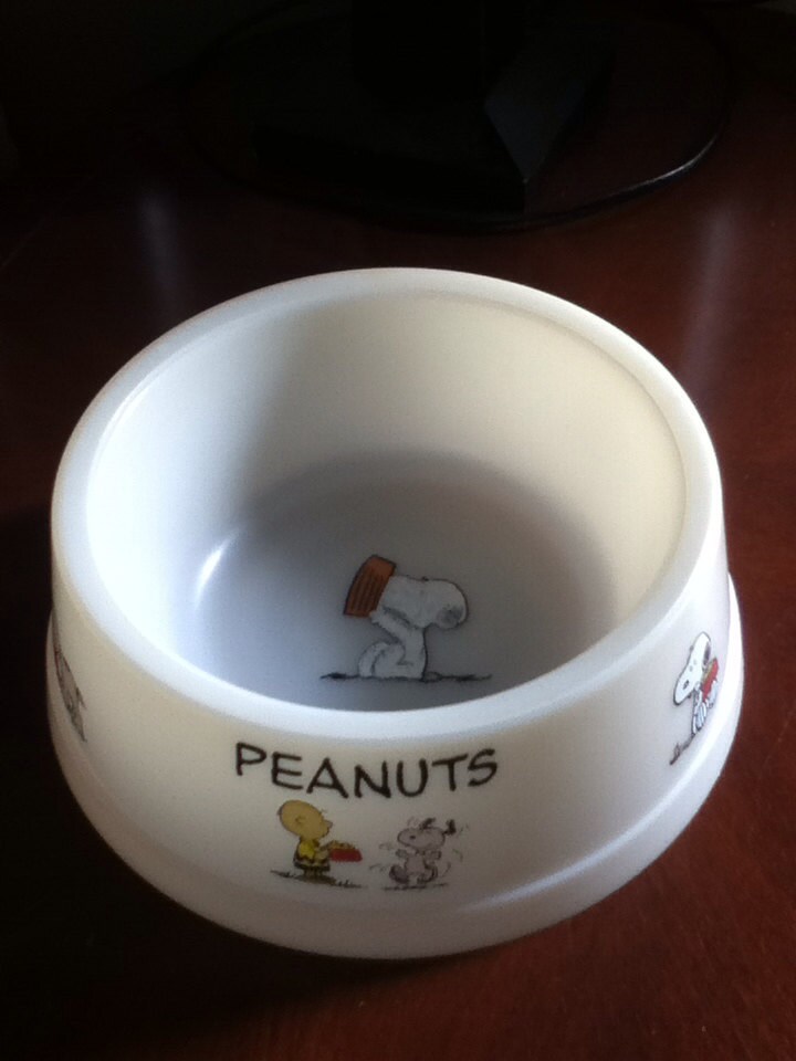 Bowl dog bowl snoopy Charlie Brown peanuts