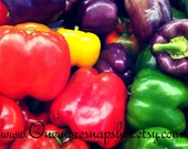 Bell Peppers - Photo Magnet
