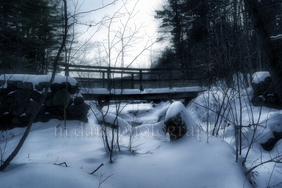 Winter Wonderland, Nature, Snow, Winter Photography, Landscape, 8x10, 8x12, 12x18