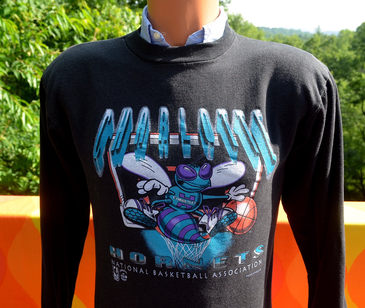 https://www.etsy.com/listing/155547707/vintage-90s-sweatshirt-charlotte-hornets