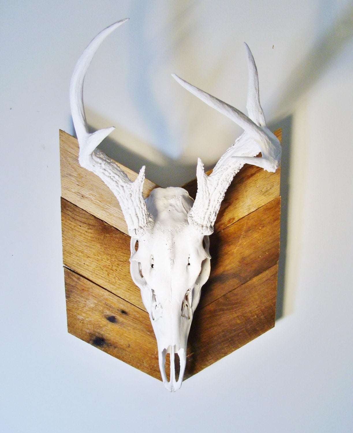 Deer Skull with Antlers on Chevron Plaque by EWMcCall on Etsy