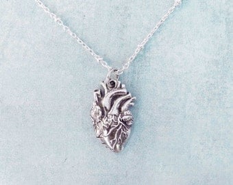 Sterling Silver Anatomical Heart Necklace or Golden Real Heart