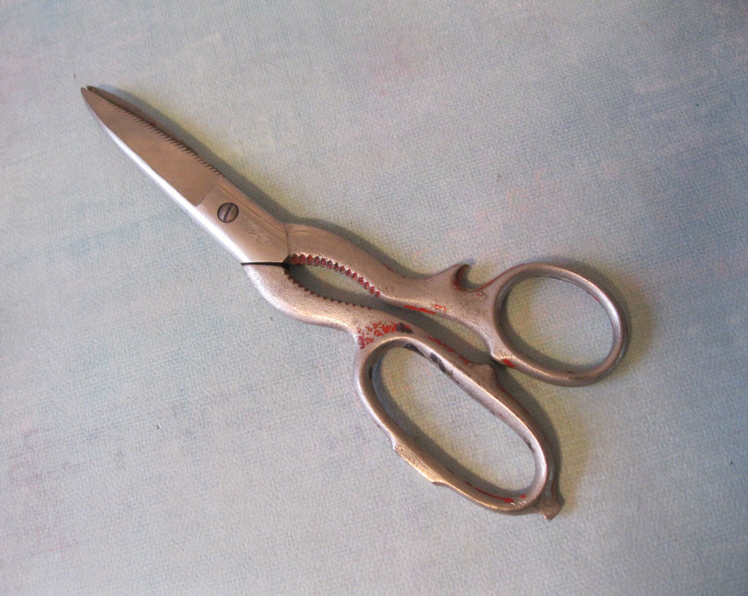 Vintage Griffon Kitchen Scissors