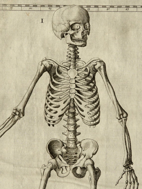 1714 Antique SKELETON copper engraving from by AntiquePrintsOnly