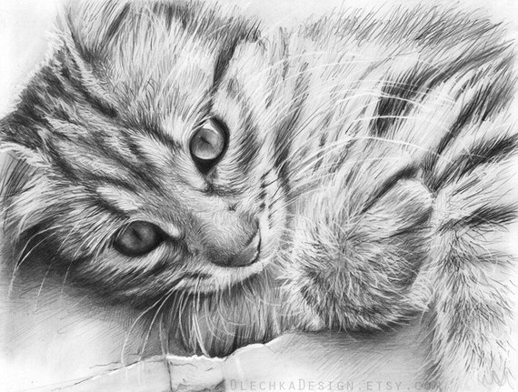 Items similar to ORIGINAL Drawing of Cute Kitten, Animal Art, Pencil ...