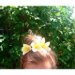 Cassidy Crotwell