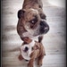 Meila N Ava