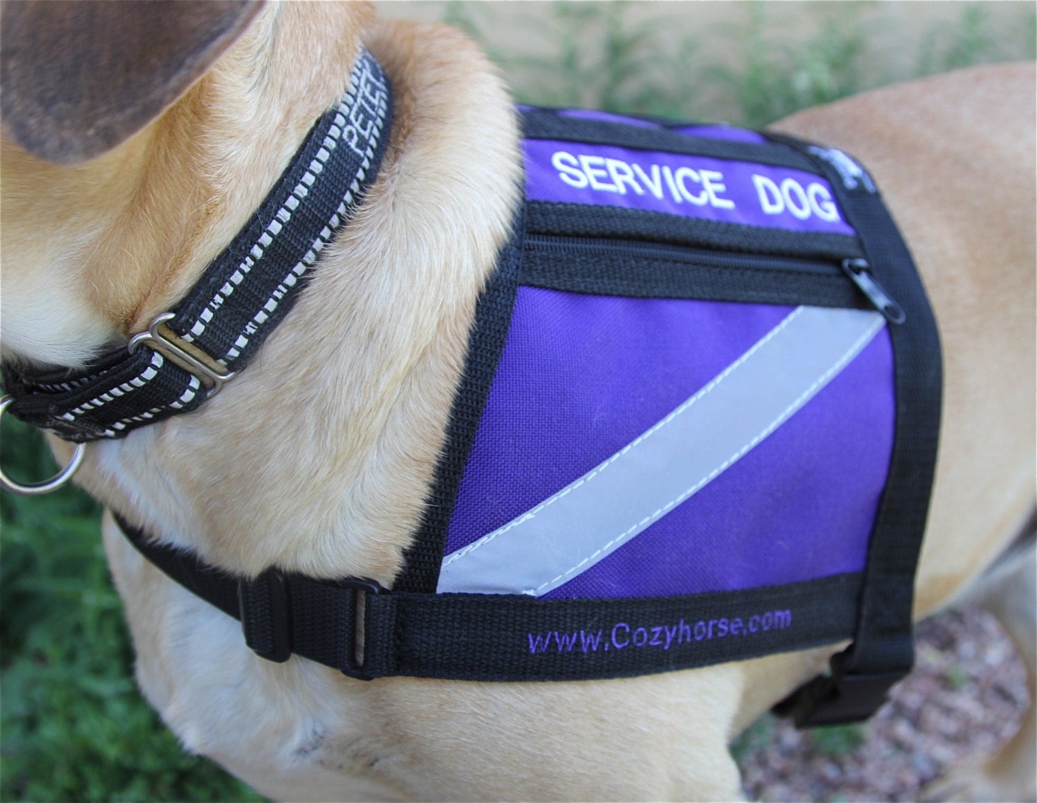 SERVICE DOG Vest small to medium dog Purple water proof