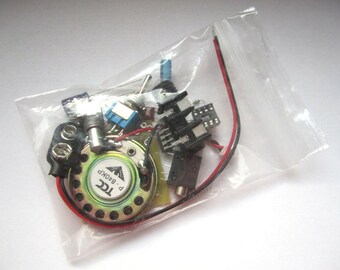 DIY Kit: Portable Guitar Amp, Headphone Amp, MP3 Amp w/ Speaker, Volume Control, & 10X Gain